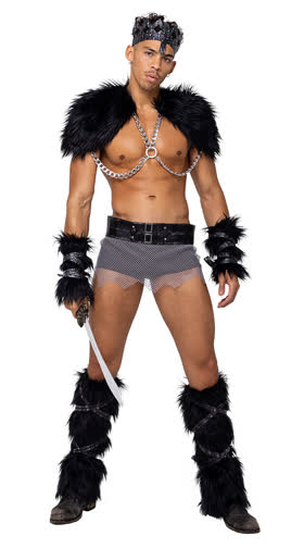 Men’s Viking Hunk Costume